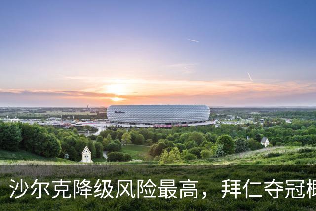 沙尔克降级风险最高，拜仁夺冠概率显著